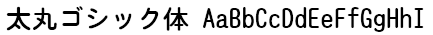 太丸ゴシック体 Font
