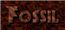 Fossil
