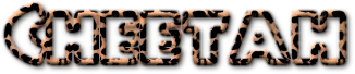 Rendered Image
