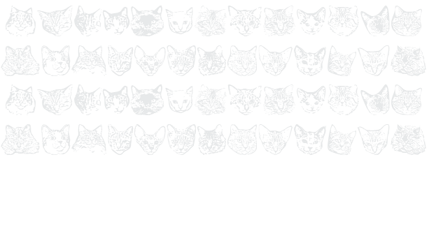 Kitty Prints Example