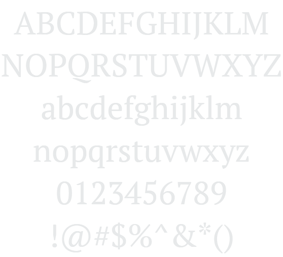 PT Serif Example