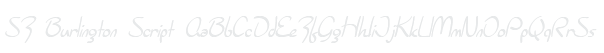 SF Burlington Script Example