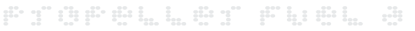 Propeller Fuel Example