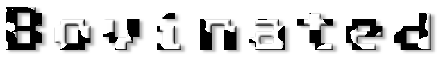 Rendered Image