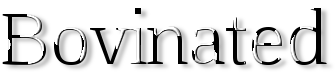 Rendered Image
