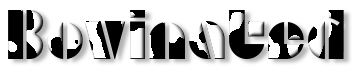 Rendered Image