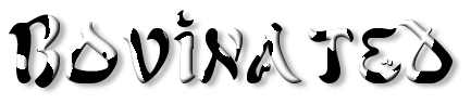 Rendered Image