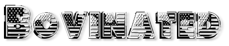 Rendered Image