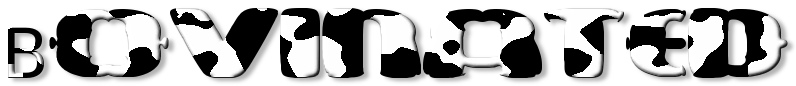 Rendered Image