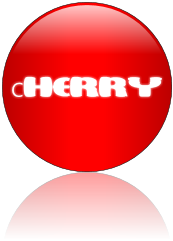 Rendered Image