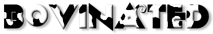 Rendered Image