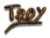 TROY Logo Style