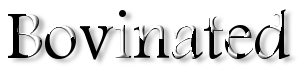 Rendered Image