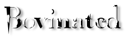 Rendered Image