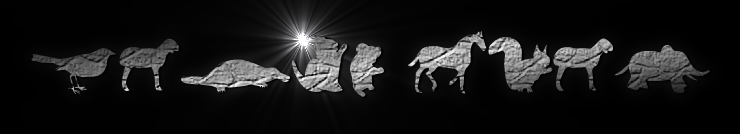 Rendered Image