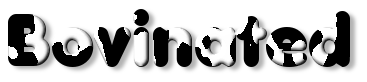 Rendered Image