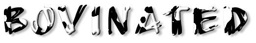 Rendered Image