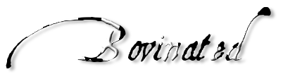 Rendered Image