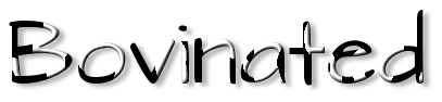 Rendered Image
