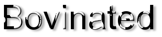 Rendered Image