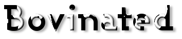 Rendered Image