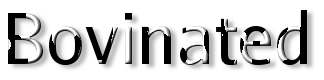 Rendered Image