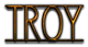 TROY Logo Style