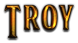 TROY Logo Style