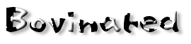 Rendered Image