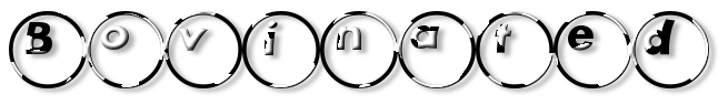 Rendered Image