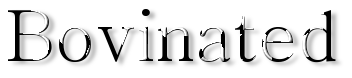 Rendered Image