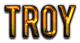 TROY Logo Style