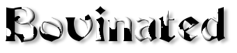 Rendered Image