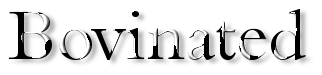 Rendered Image