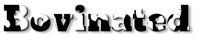 Rendered Image