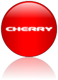 Rendered Image