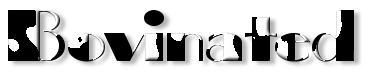 Rendered Image