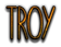 TROY Logo Style