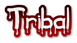 Tribal Logo Style