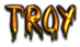 TROY Logo Style