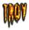 TROY Logo Style