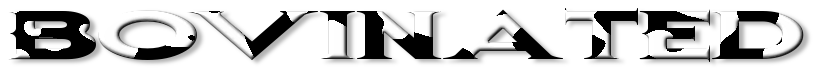 Rendered Image