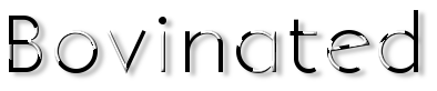 Rendered Image