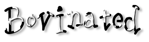 Rendered Image