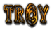 TROY Logo Style