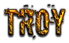 TROY Logo Style