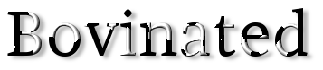 Rendered Image