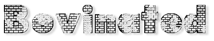 Rendered Image