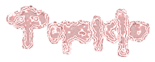 Rendered Image