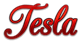 Tesla Logo Style